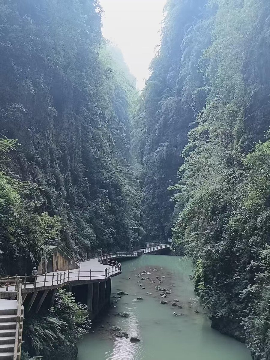 Plankenweg in der Schlucht