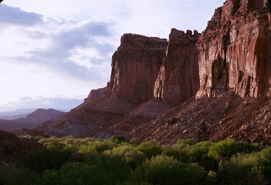Capitol Reef National Park