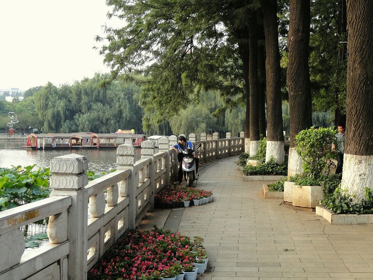 昆明の翠湖公園