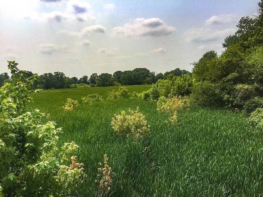 Cuyahoga Valley National Park