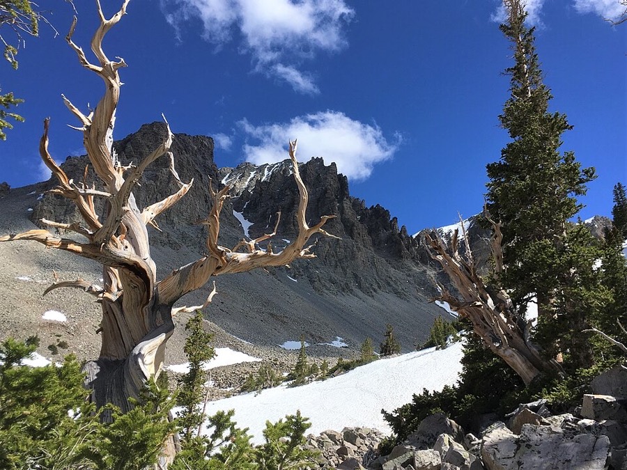 Great Basin National Park