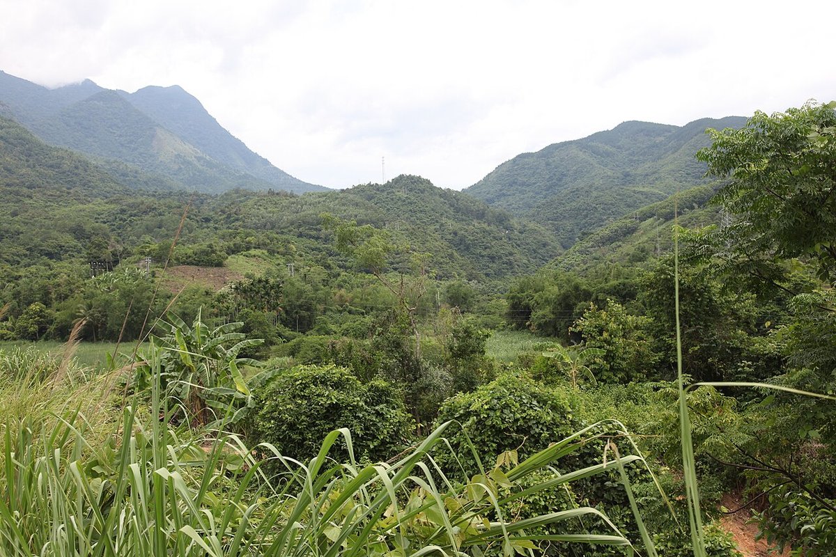 Forested hills near Yinggeling