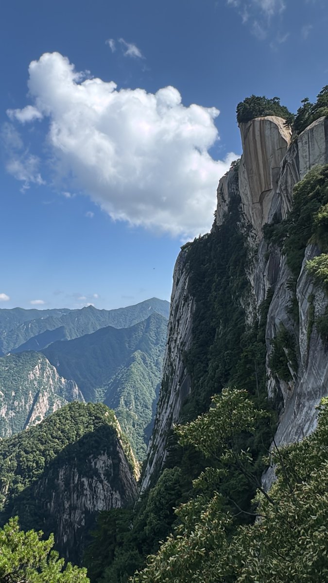 The cliffs of Xianzhang (Immortal’s Palm) Peak