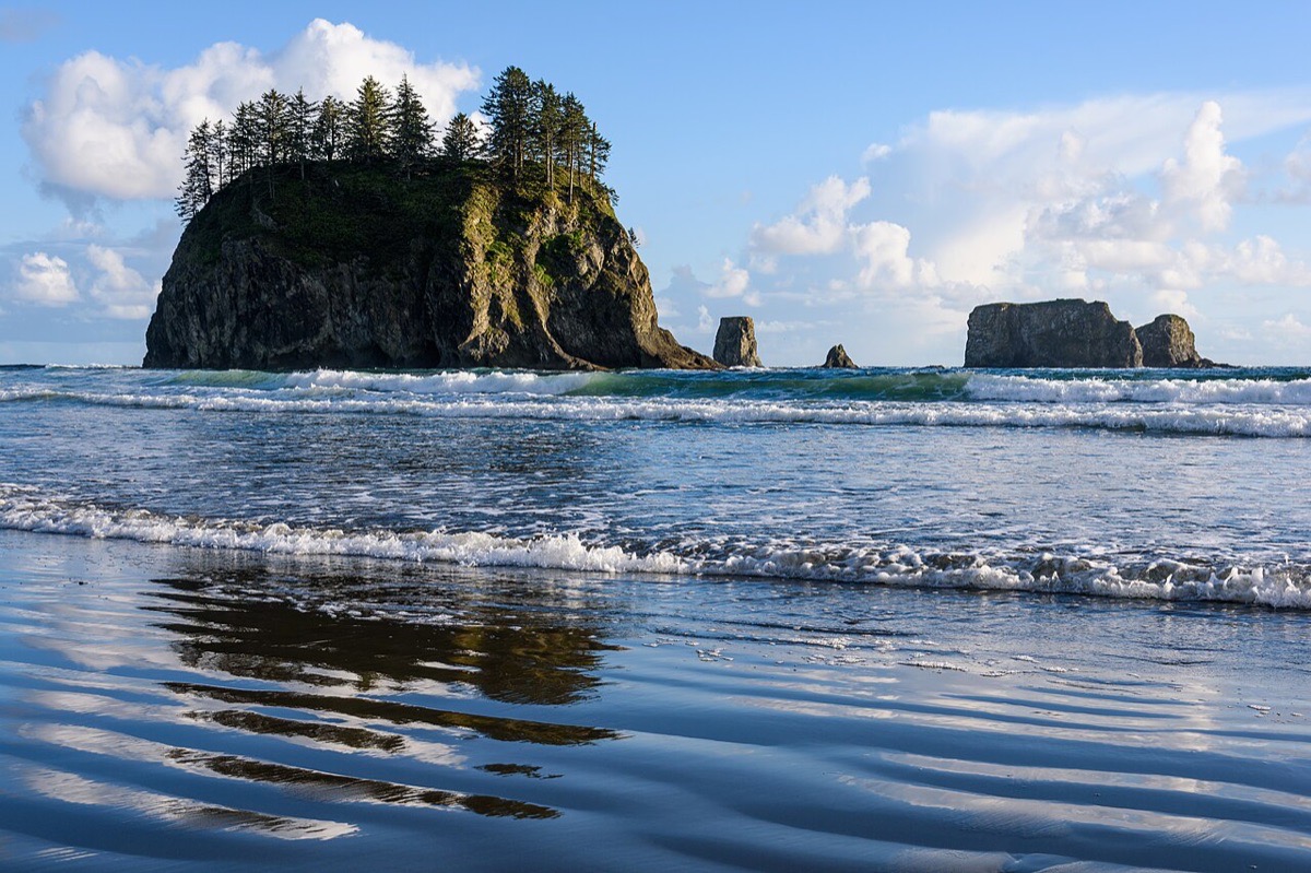 Olympic National Park