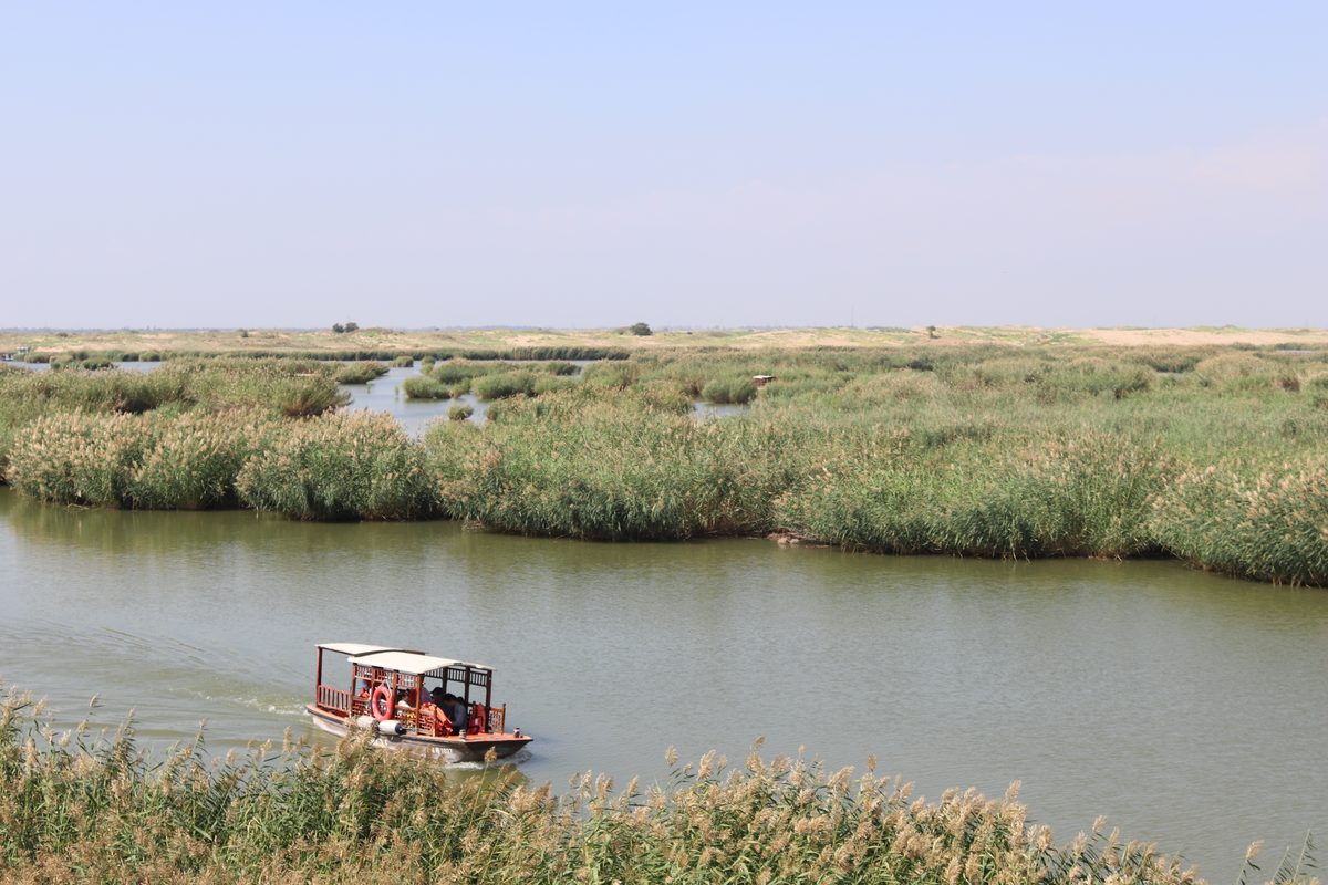 Boat among the reeds of Sand Lake, with sand in the distance