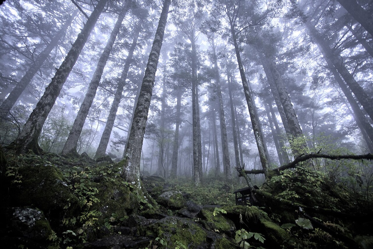 Shennongjia