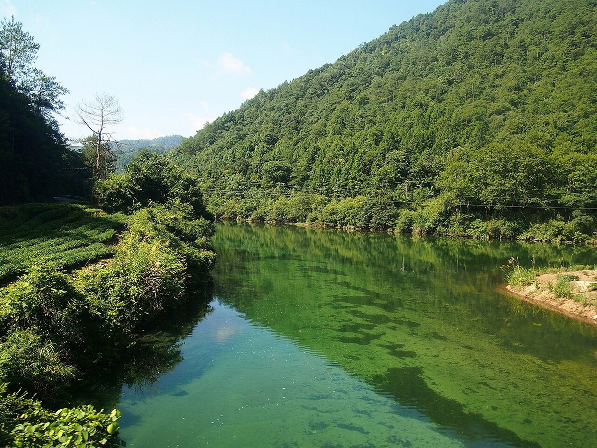 The Tongmu Stream and its forests