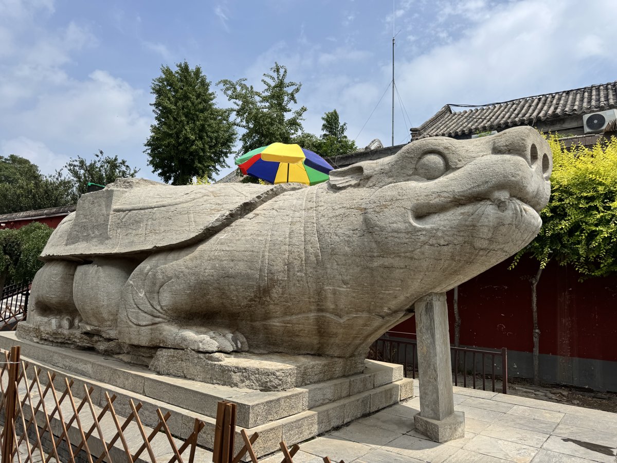 开元寺石赑屃