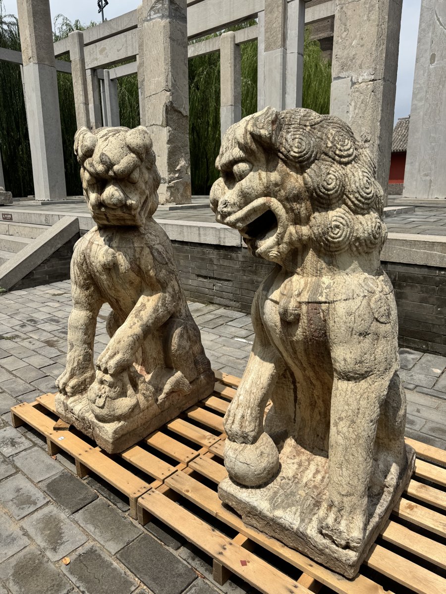 开元寺石狮