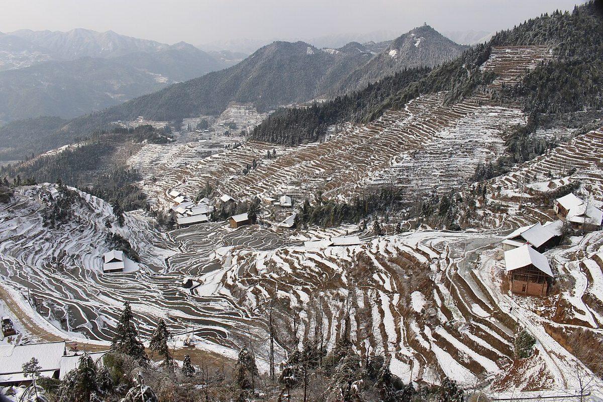 紫鹊界梯田
