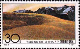 高山苔原