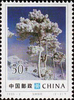 玉树琼花