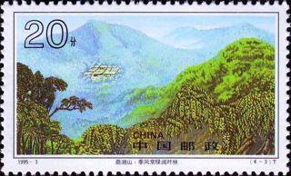 鼎湖山·季风常绿阔叶林