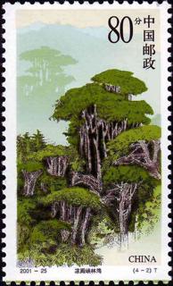 凉殿峡林海