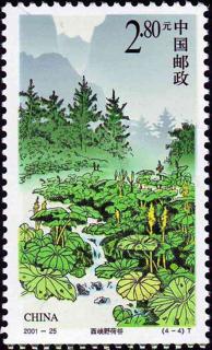 西峡野荷谷