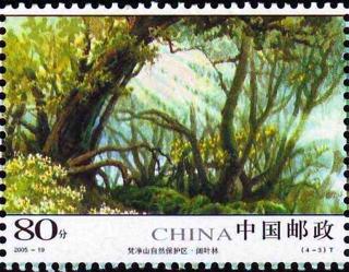阔叶林