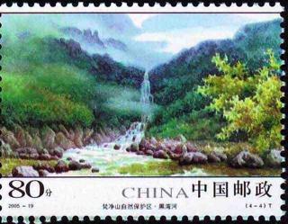 黑湾河