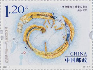 环饰蠕虫与吸盘古宿虫共生化石