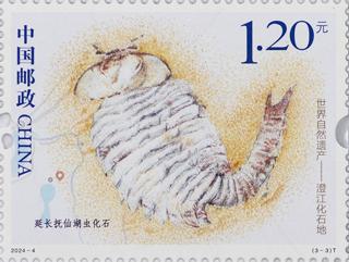 延长抚仙湖虫化石