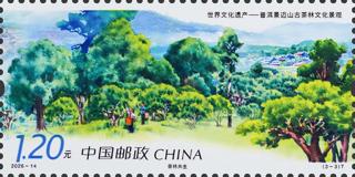 茶林共生
