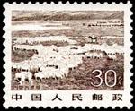 内蒙古草原