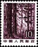 东北林海