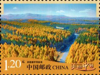 承德塞罕坝林海