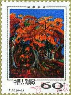 凤凰花开