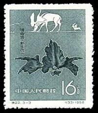 肿骨鹿（新生代）