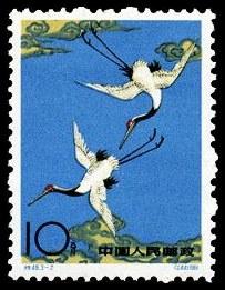 丹顶鹤