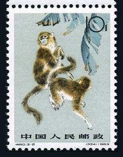 金丝猴